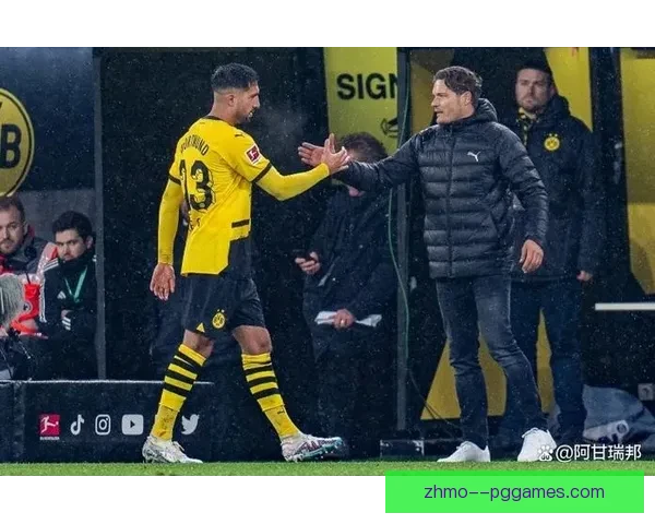 多特蒙德欧冠决赛落幕后主帅泰尔齐奇辞职球队未来走向引发热议